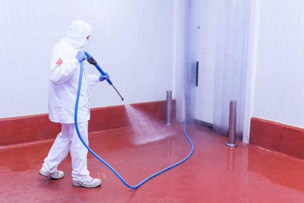 Best Rust Removal  in Ogden, KS